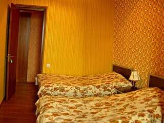 Гостевой дом Zandarashvili Guest House Сигнахи Стандартный двухместный номер с 2 отдельными кроватями-1