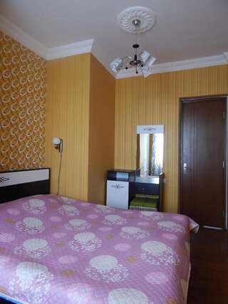 Гостевой дом Zandarashvili Guest House Сигнахи Стандартный двухместный номер с 1 кроватью-2