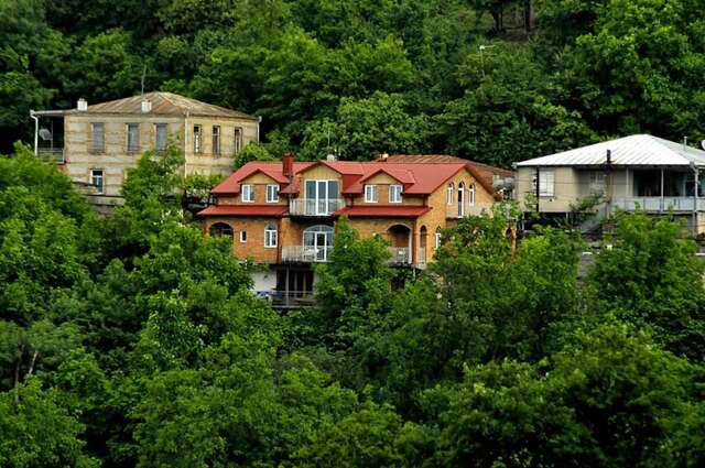 Гостевой дом Zandarashvili Guest House Сигнахи-36